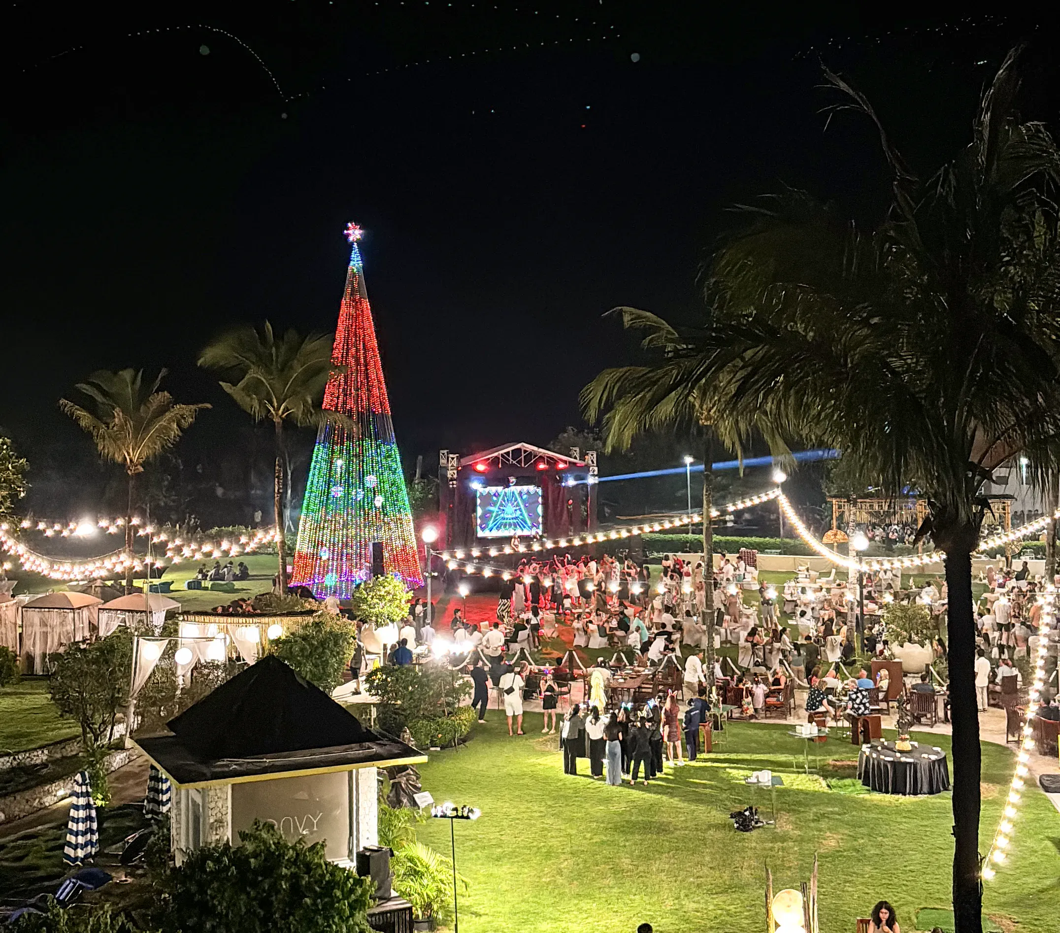 festive-image-6
