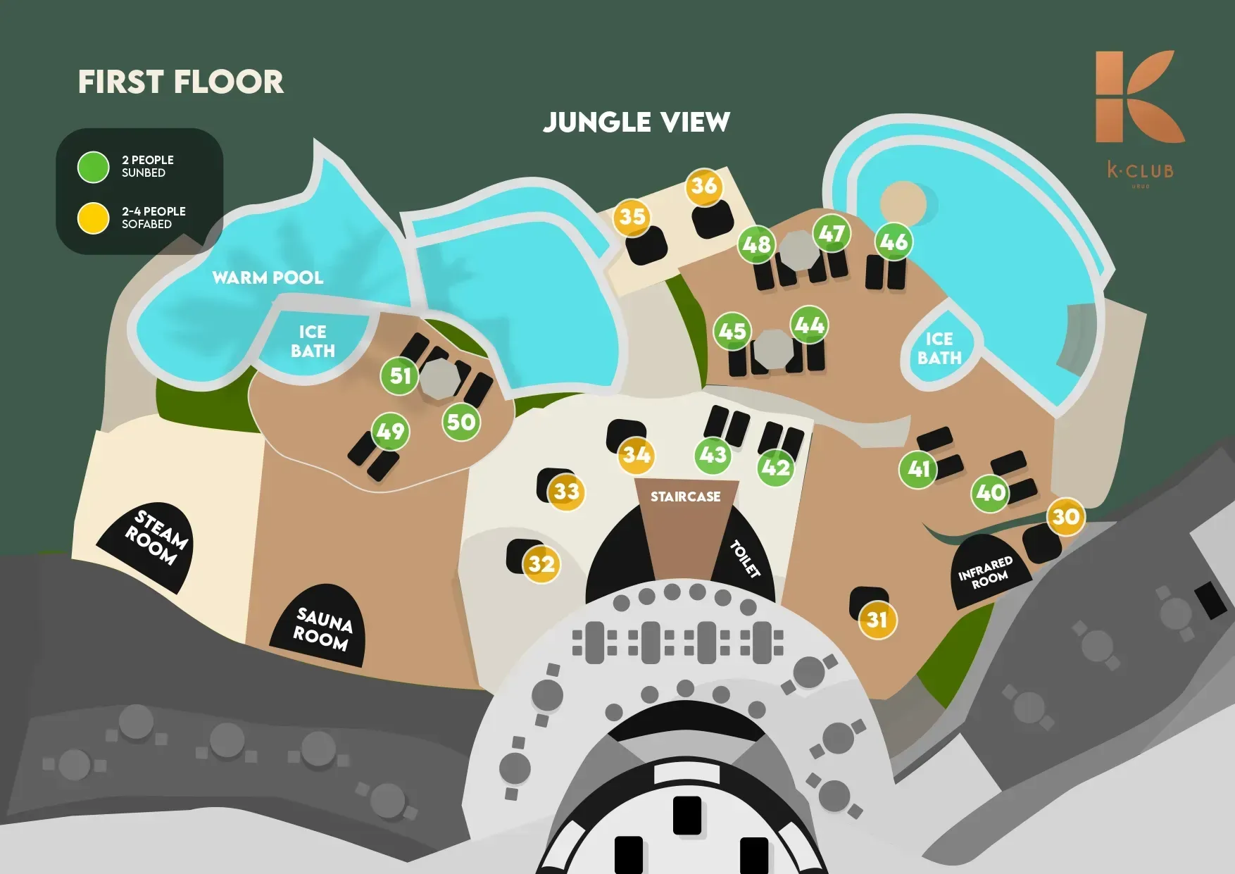 Pool Deck - The Jungle Pool