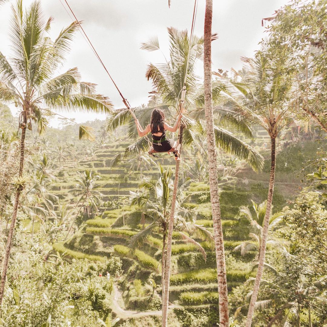 Bali for Beginners