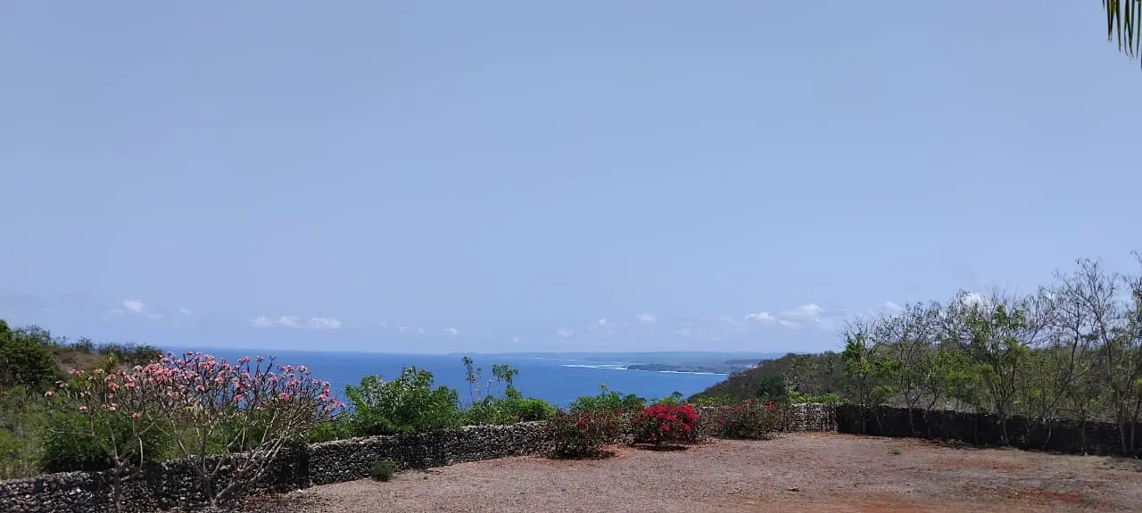 Suite Room Ocean View
