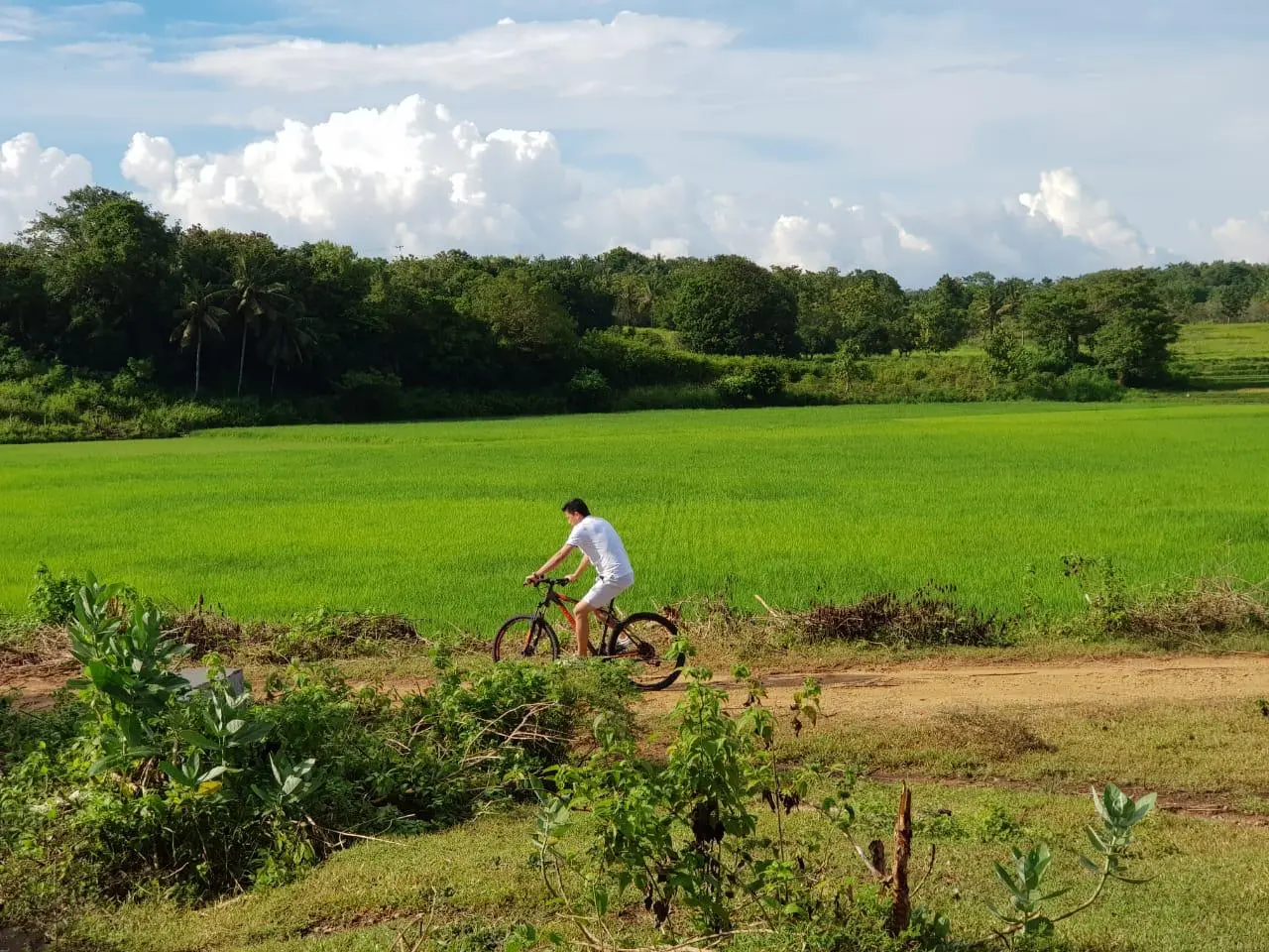 Cycling