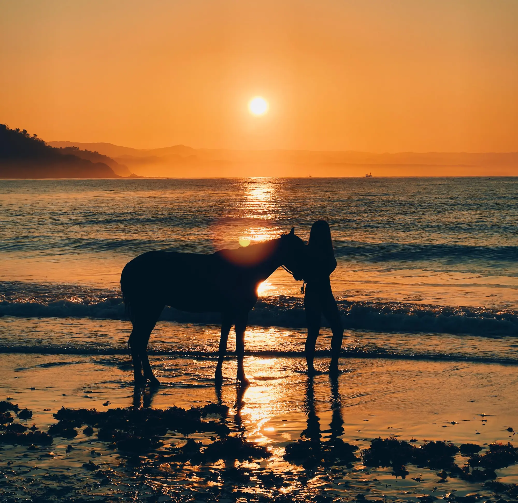 Horse Riding